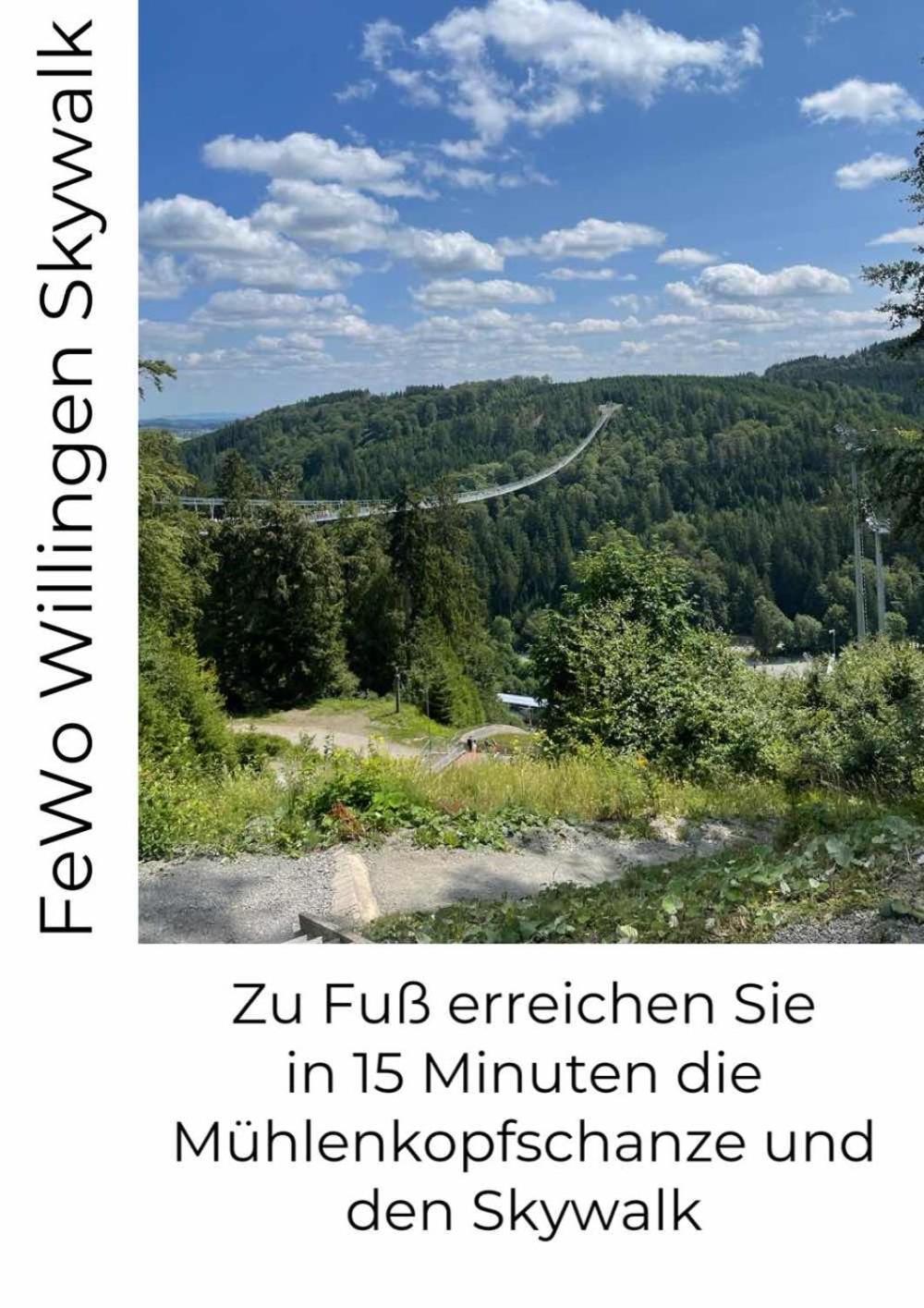 Fewo Skywalk Willingen Stryck Extérieur photo
